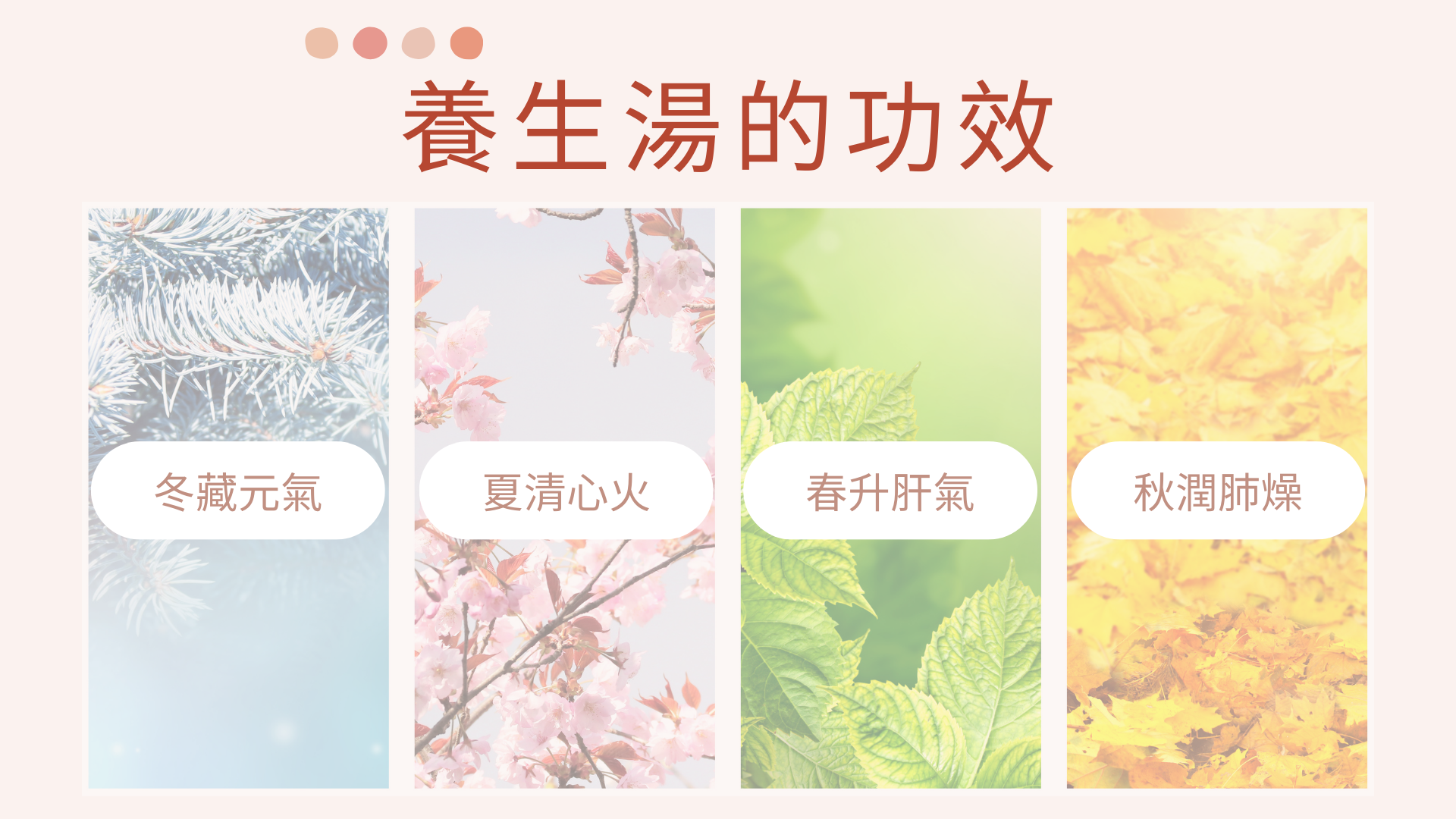 養生湯功效